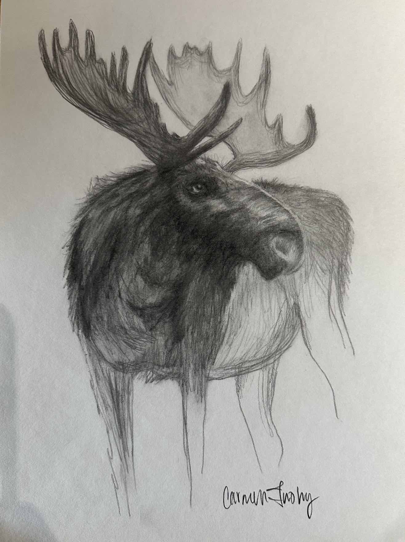 Bull