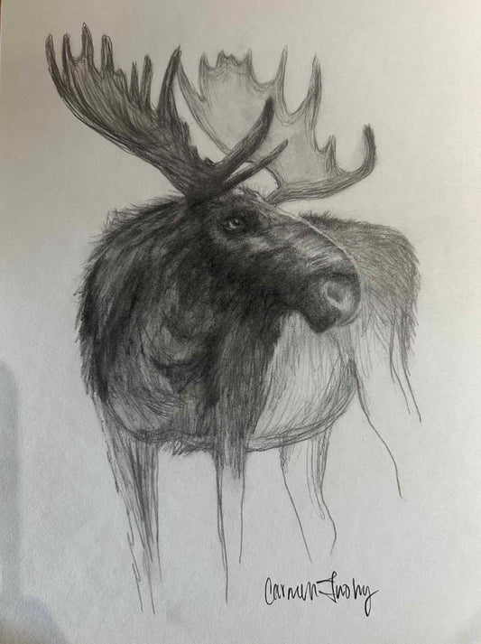 Bull