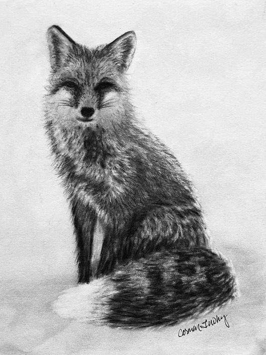 A Foxy Encounter
