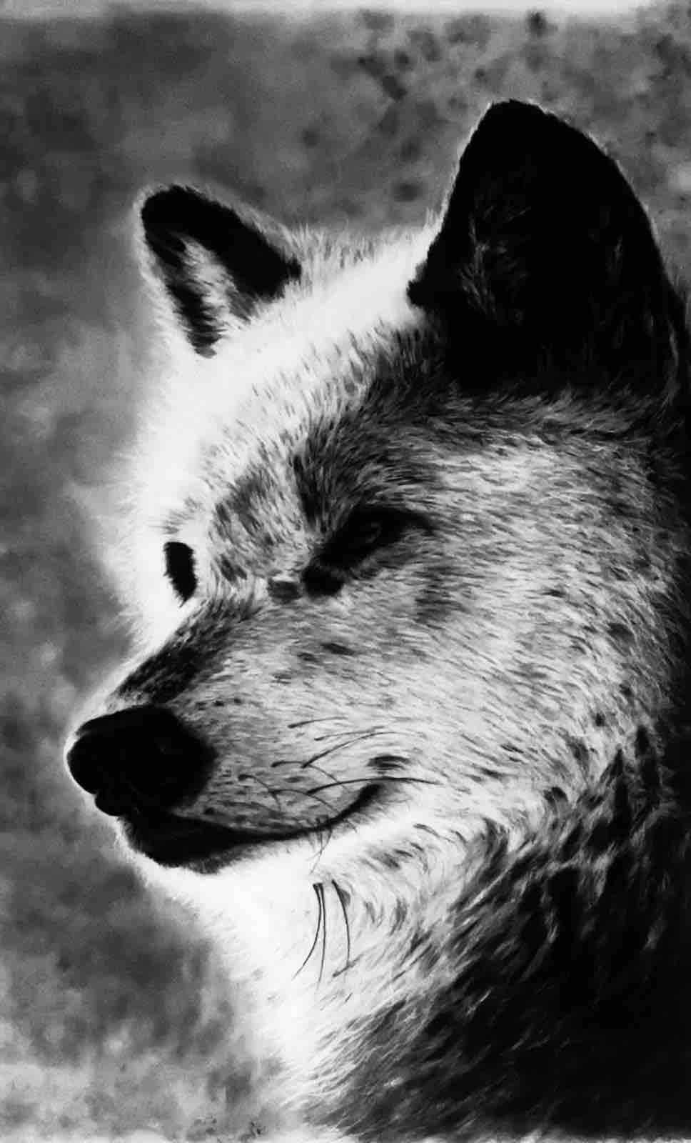 Shadow of the Alpha