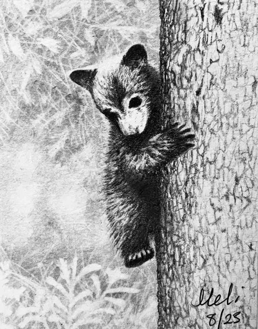 Cub Climbing Down