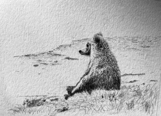 Papa Bear Enjoying the Beach