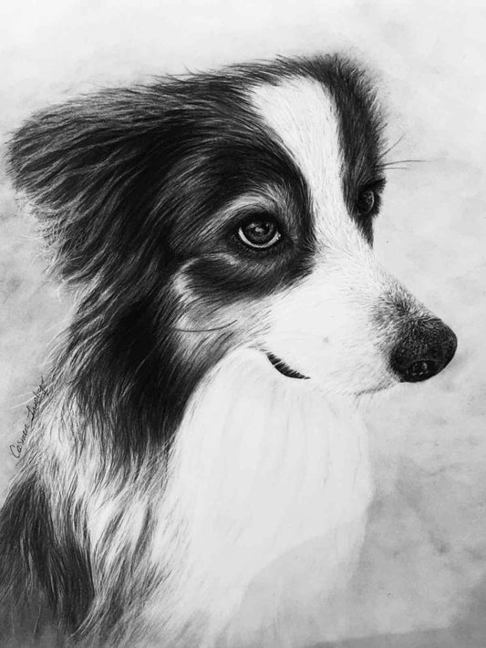 A Man's Best Friend