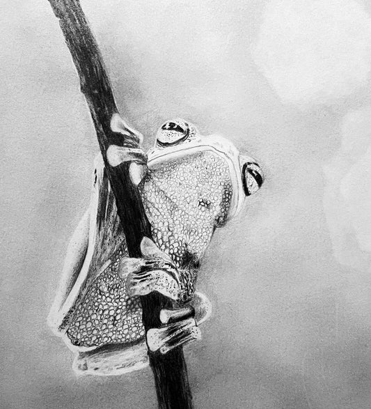 Perched in Silence