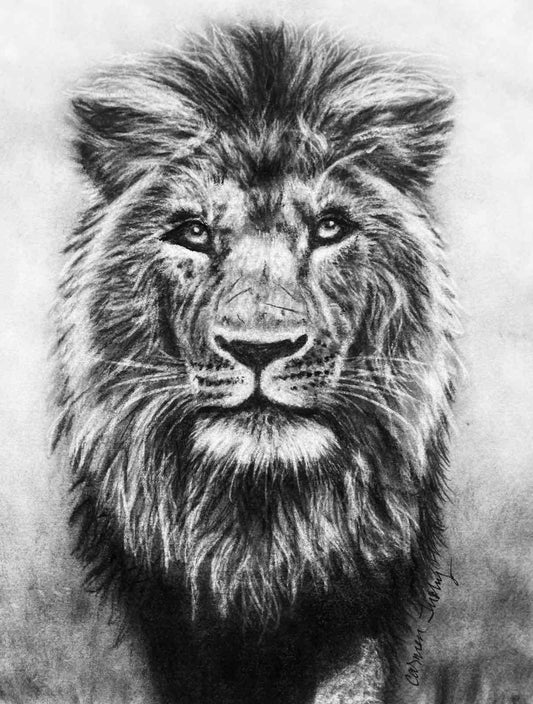 I Roar So They Can Be Heard